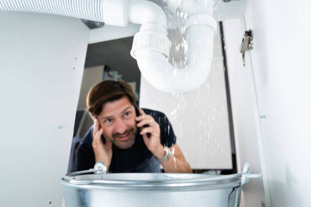 Best Shower Repair Services  in South Shore, KY